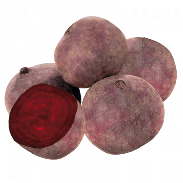 червено цвекло /българия/