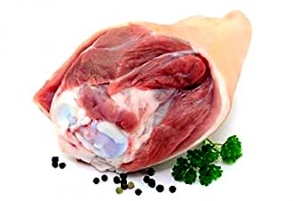 джолан от бут